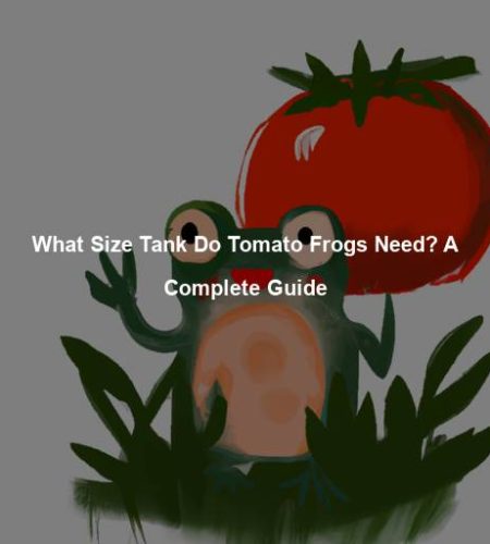 What Size Tank Do Tomato Frogs Need? A Complete Guide