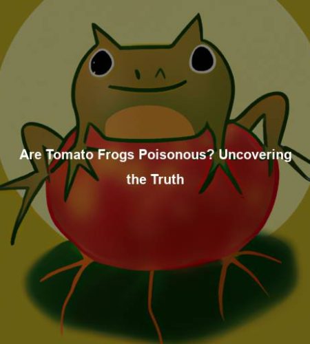 Are Tomato Frogs Poisonous? Uncovering the Truth