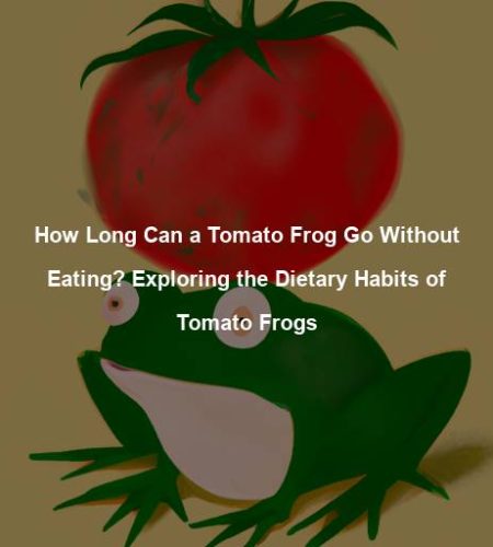 How Long Can a Tomato Frog Go Without Eating? Exploring the Dietary Habits of Tomato Frogs
