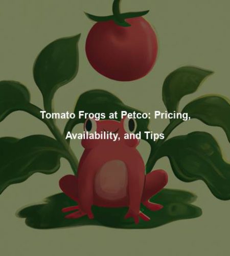 Tomato Frogs at Petco: Pricing, Availability, and Tips