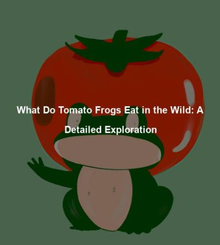What Do Tomato Frogs Eat in the Wild: A Detailed Exploration