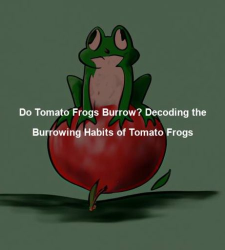Do Tomato Frogs Burrow? Decoding the Burrowing Habits of Tomato Frogs