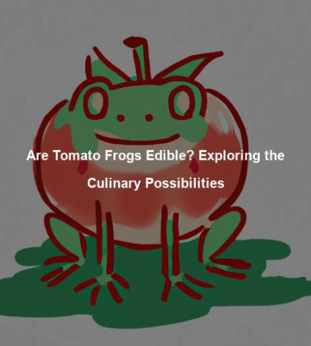 Are Tomato Frogs Edible? Exploring the Culinary Possibilities
