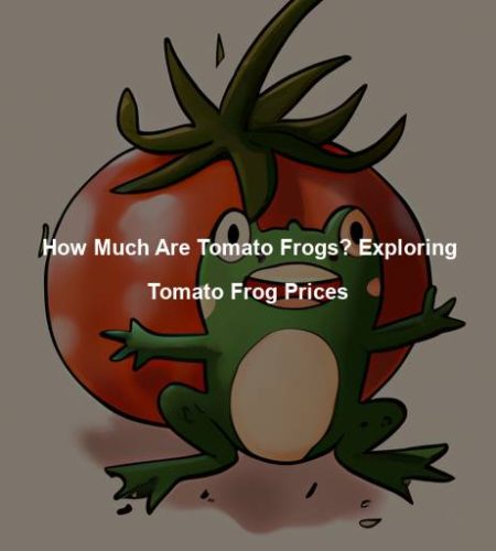 How Much Are Tomato Frogs? Exploring Tomato Frog Prices