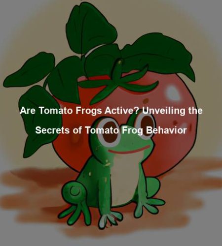 Are Tomato Frogs Active? Unveiling the Secrets of Tomato Frog Behavior